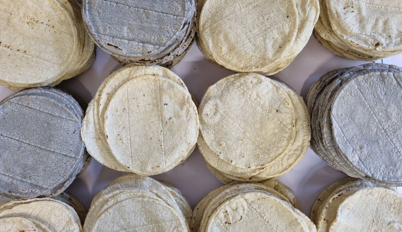 the little tortilleria Fresh Soft Corn Tortillas Mexican Ingredients